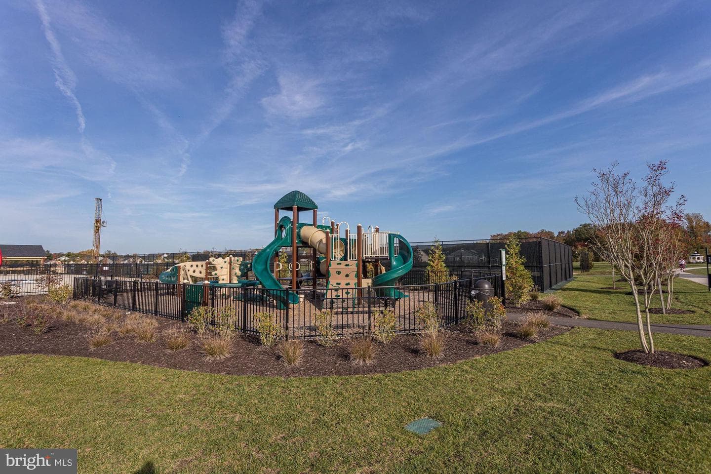 1339 Chicory Way photo 39
