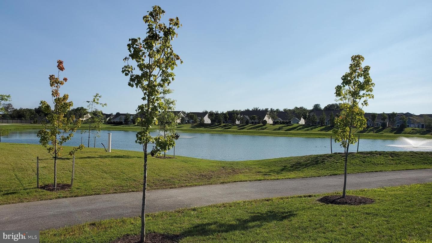 1339 Chicory Way photo 42