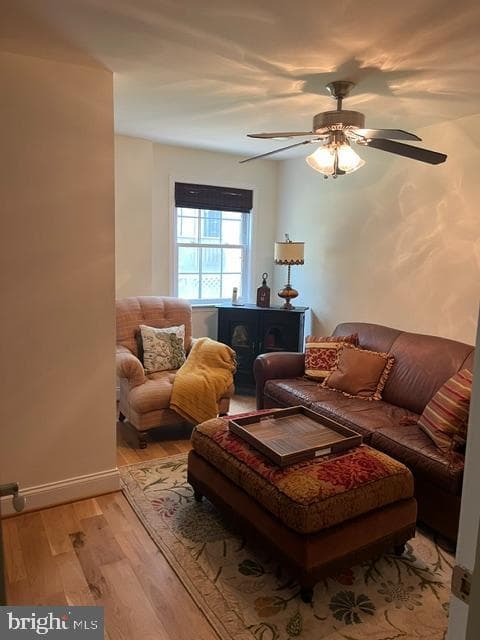 971 Phillips Drive photo 17