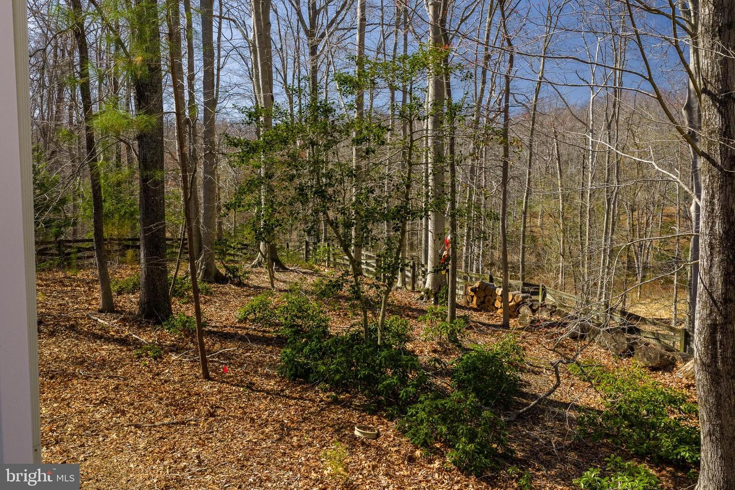 6380 Mallard Lane photo 45