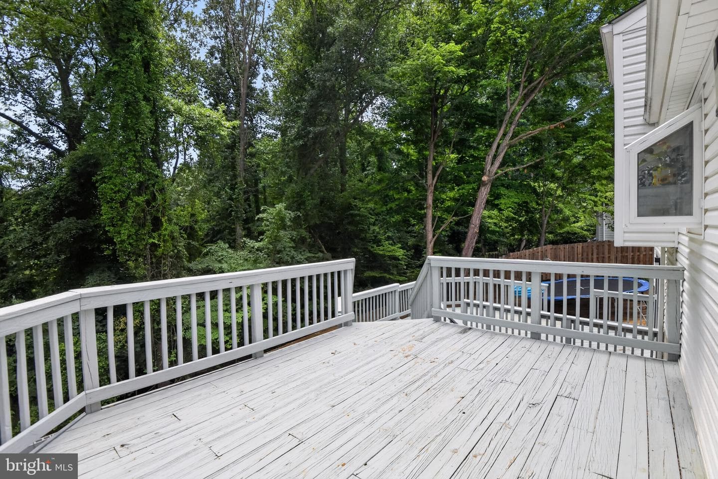 303 Ternwing Drive photo 30