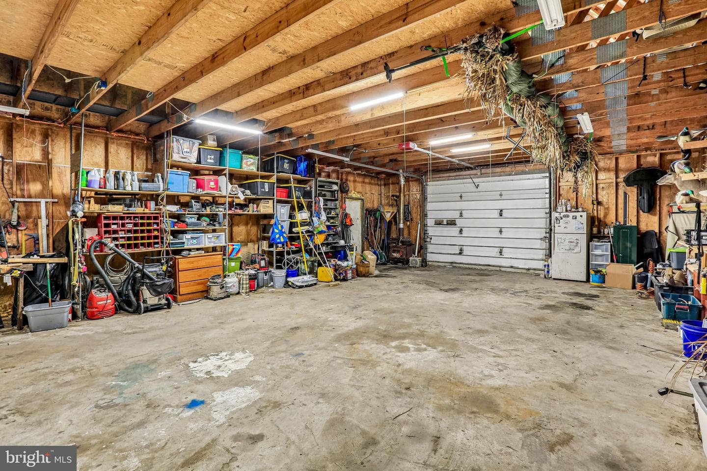 209 Otis Drive photo 25