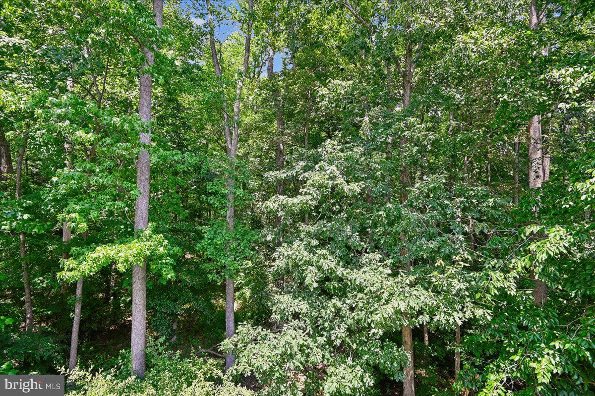 441 Penwood Drive photo 23