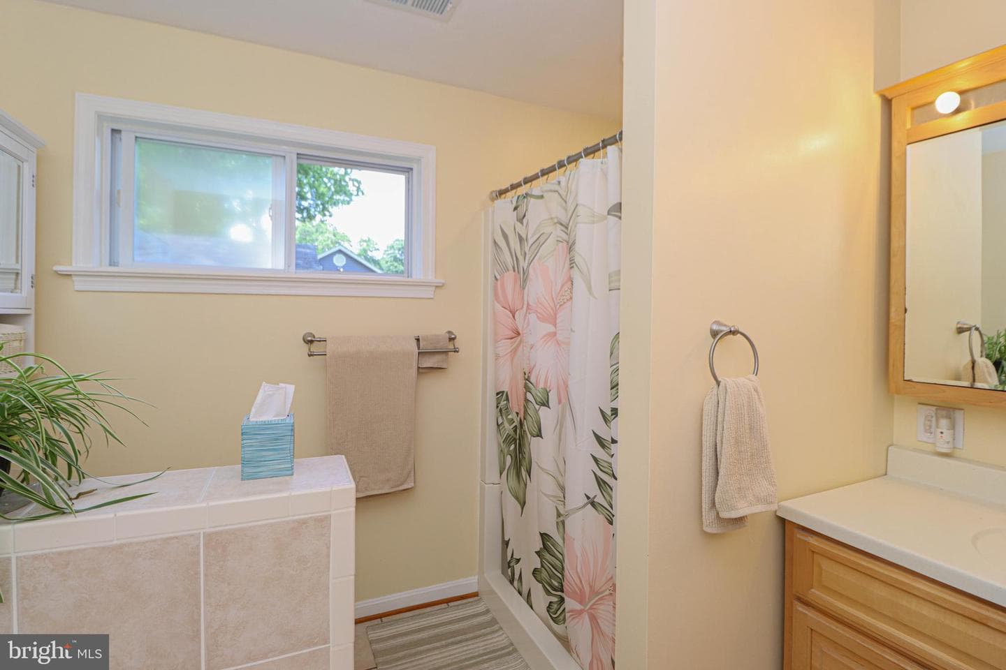 914 Holly Avenue photo 23