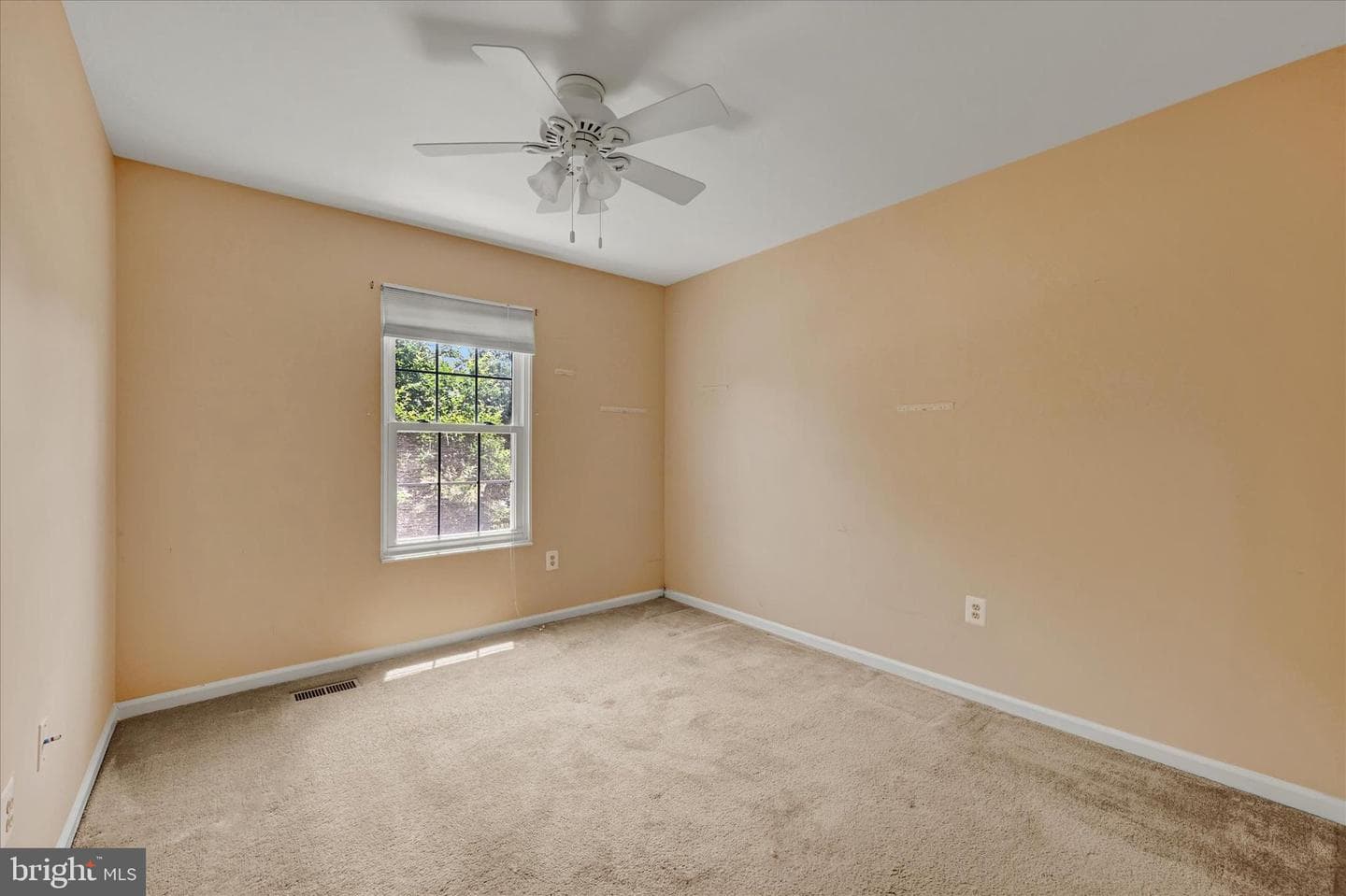 268 Shakespeare Drive photo 47