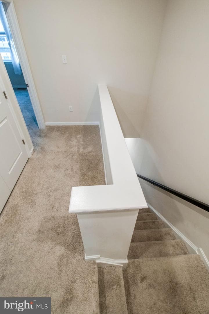 7771 Venice Lane photo 36