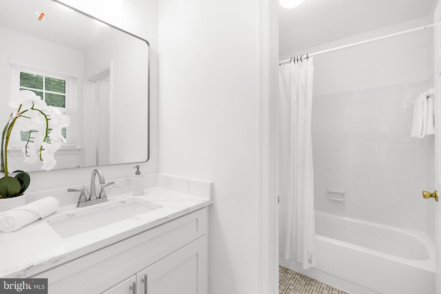 291 College Manor Drive photo 27