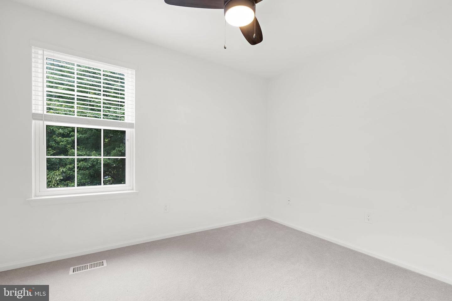 291 College Manor Drive photo 37