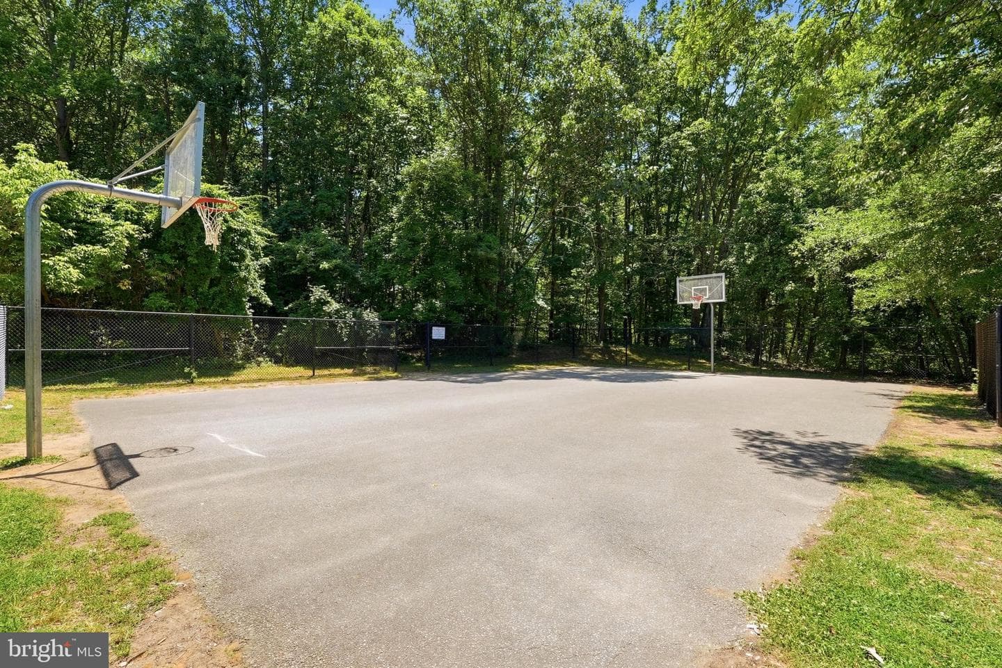 504 Greenblades Court photo 40