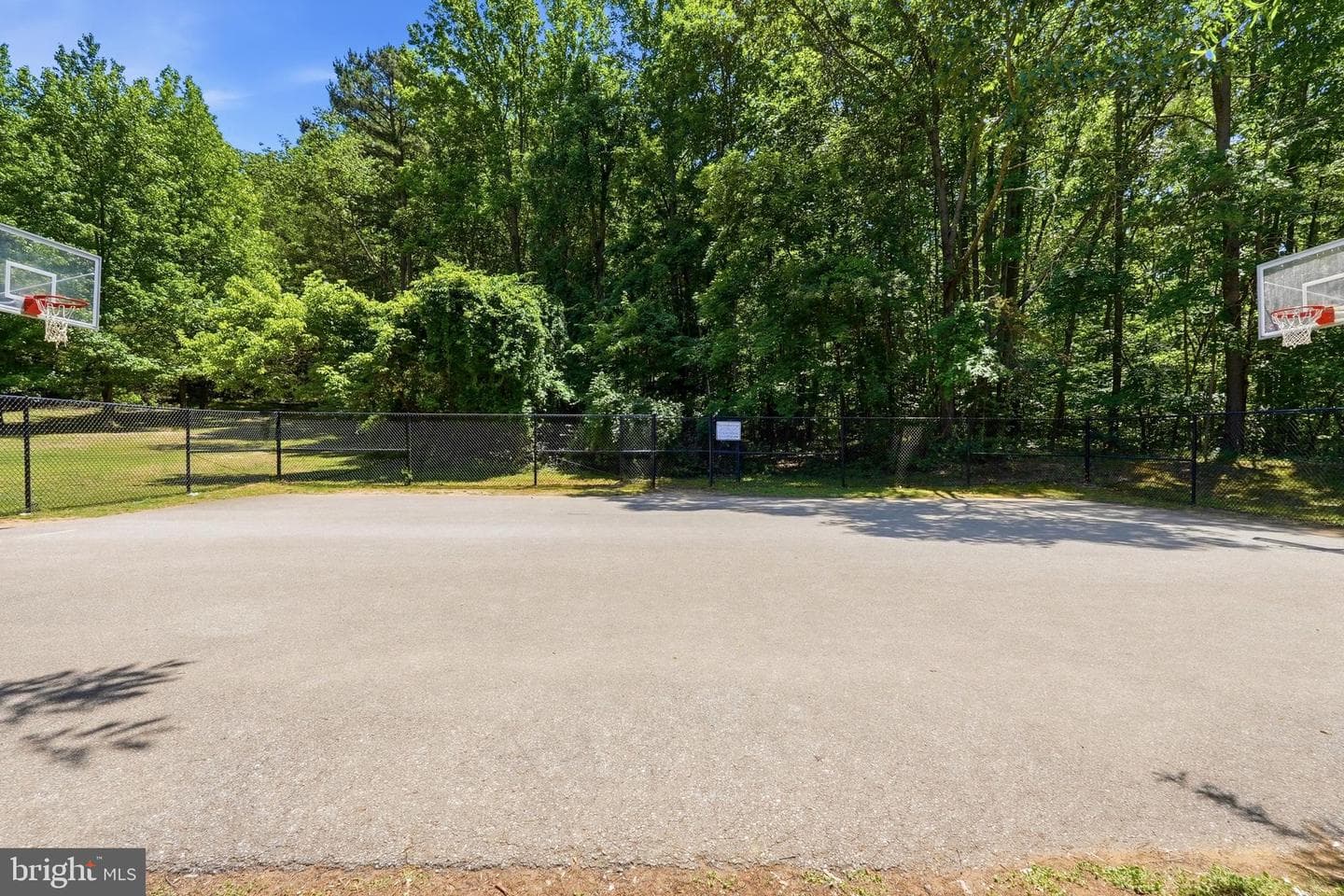 504 Greenblades Court photo 42