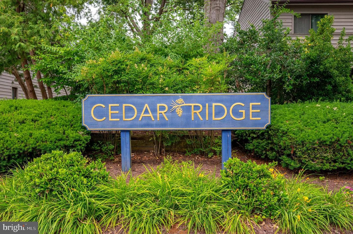 1008 Cedar Ridge Court photo 29