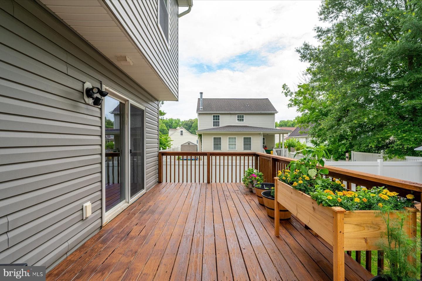 4909 Olive Street photo 28