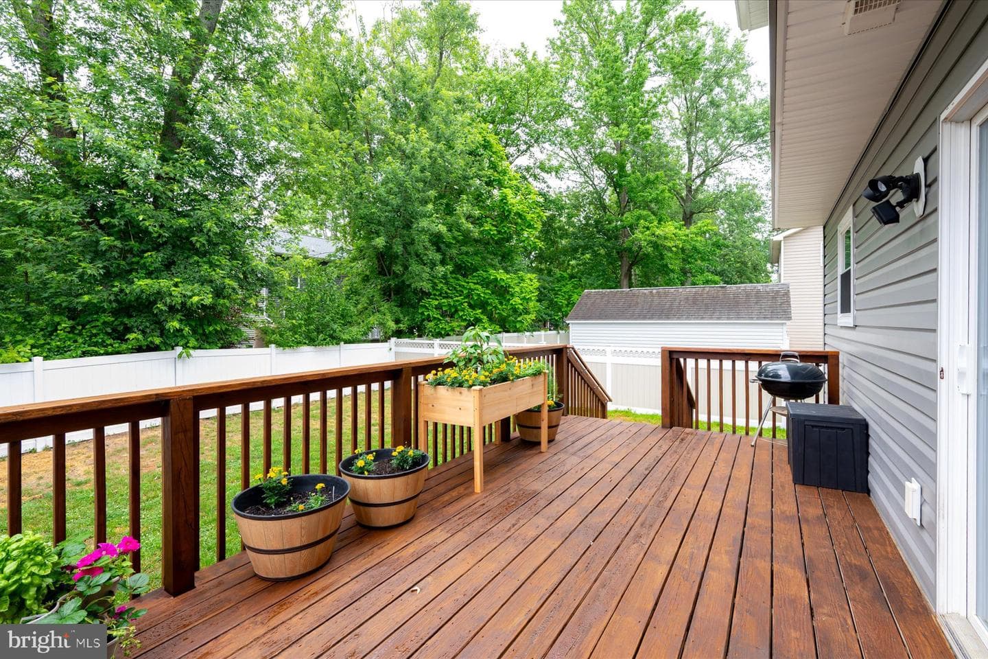 4909 Olive Street photo 7