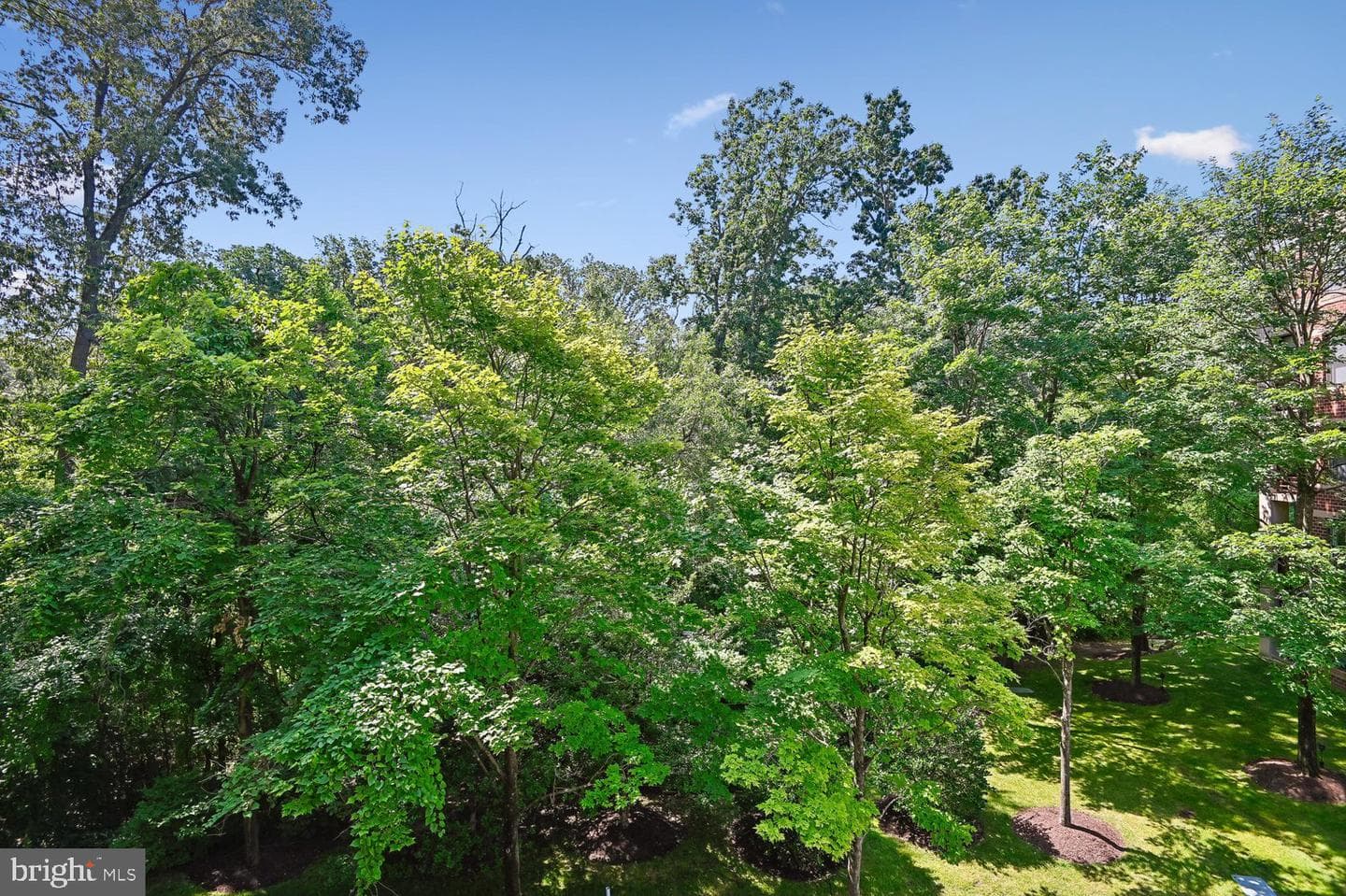 604 Mckinsey Park Drive #301 photo 20