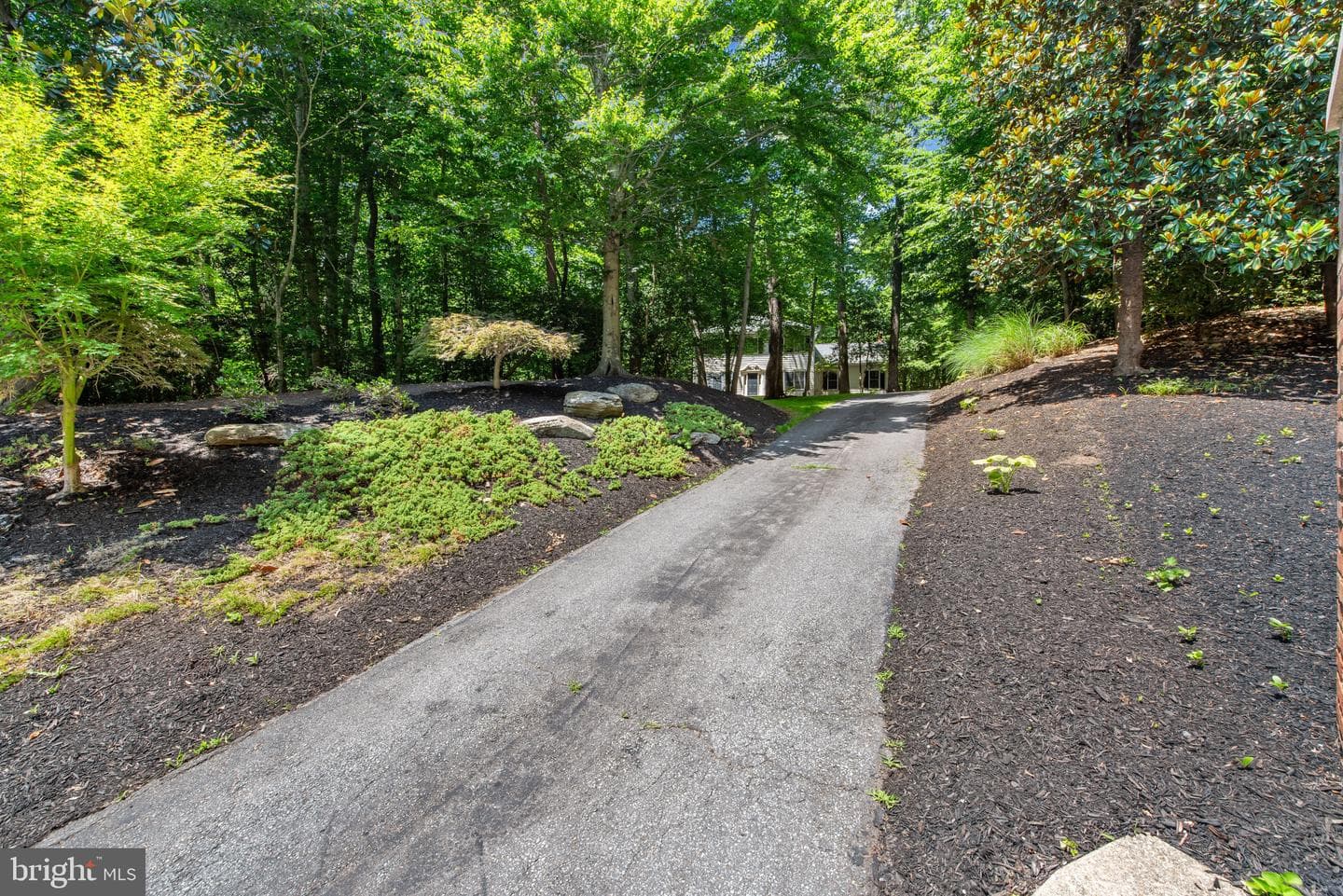 1224 Nob Hill Drive photo 49