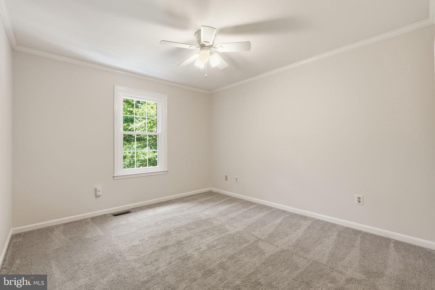 1294 Doubleday Drive photo 22