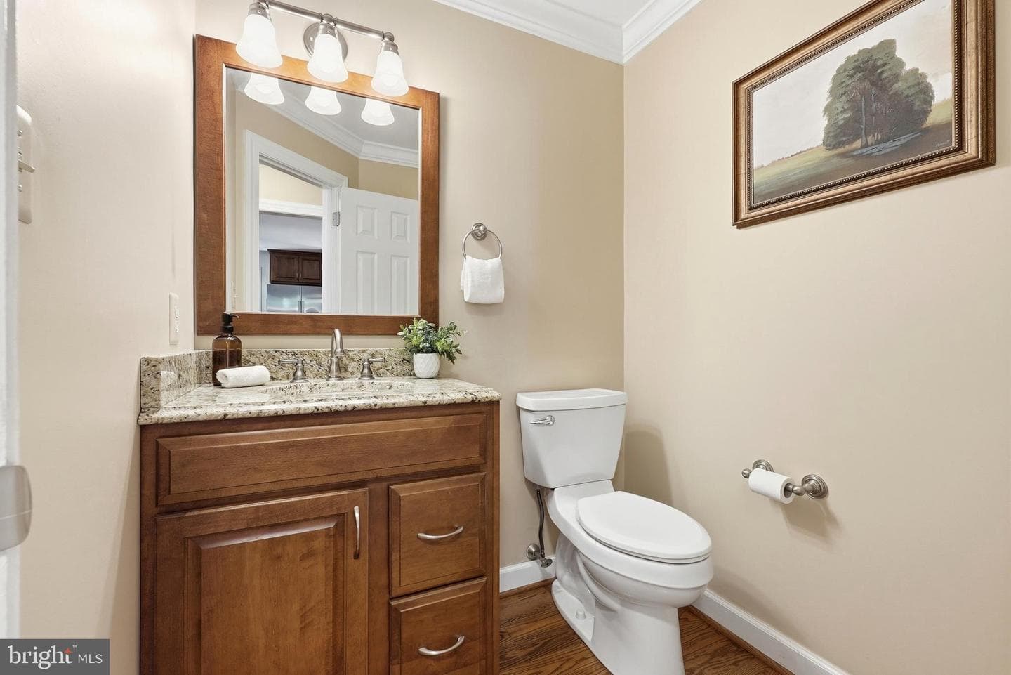 1709 Bloomsberry Court photo 22