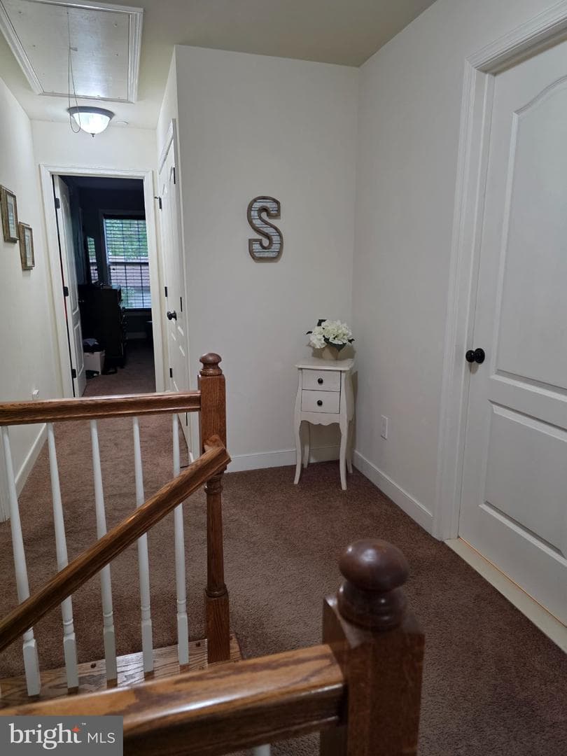 3907 Cleaver Ct photo 23