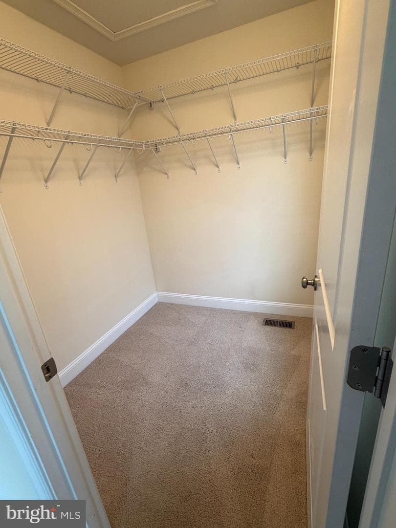 3522 Tribeca Trail photo 12