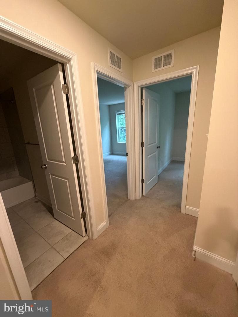 3522 Tribeca Trail photo 24