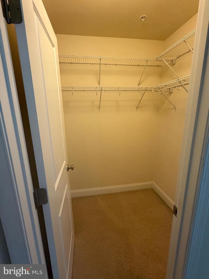 3522 Tribeca Trail photo 32