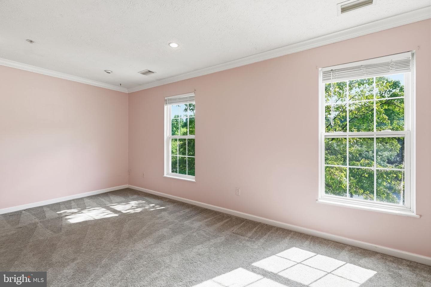 1037 Chestnut Cove Drive photo 10