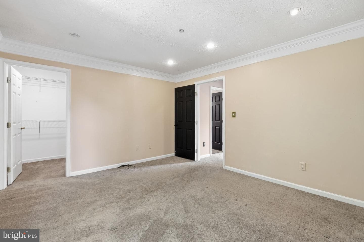 1037 Chestnut Cove Drive photo 12