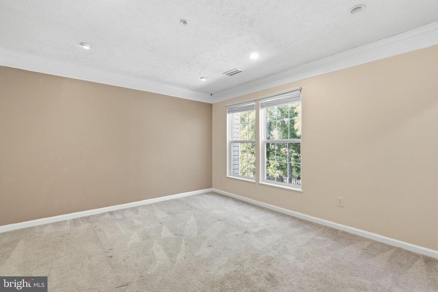 1037 Chestnut Cove Drive photo 13