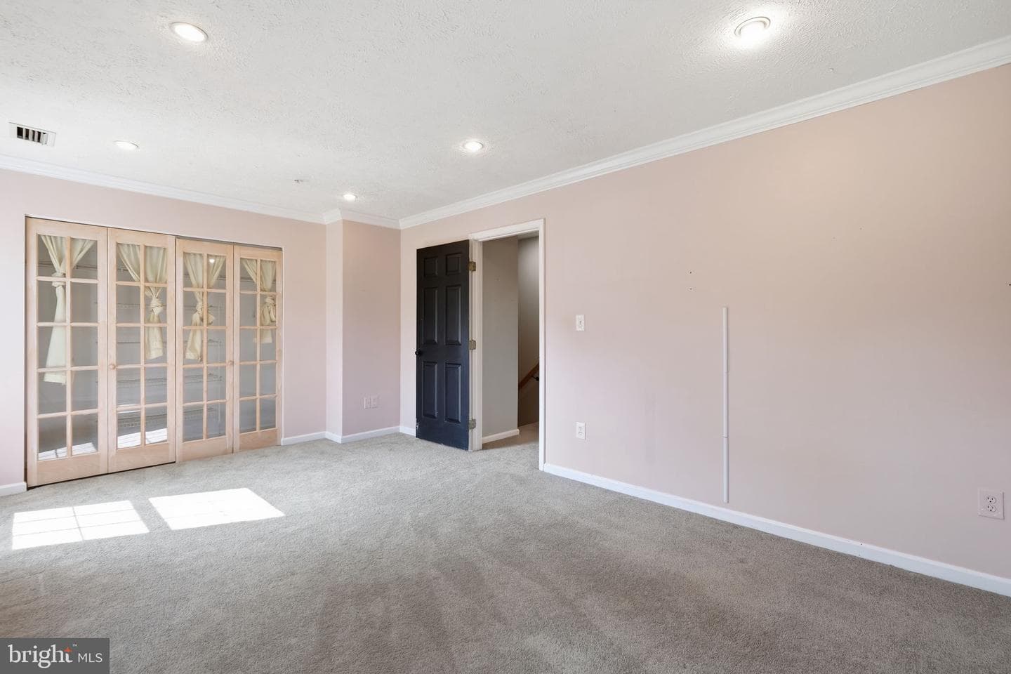 1037 Chestnut Cove Drive photo 9