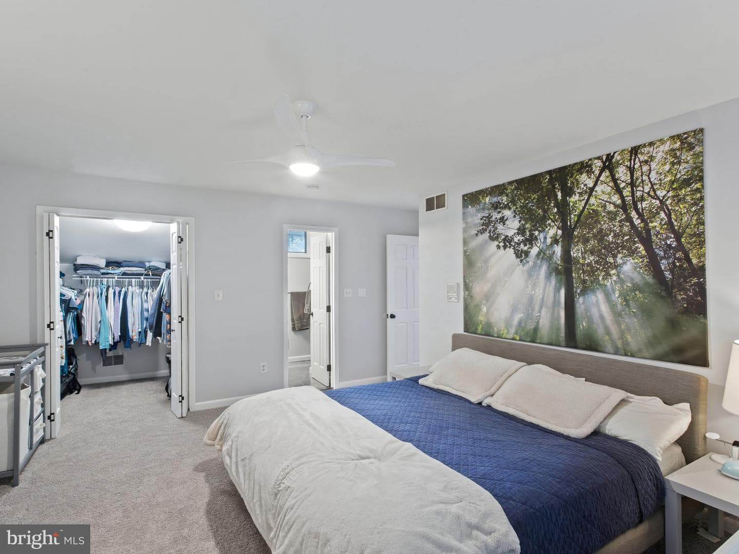1153 Hampton Road photo 17