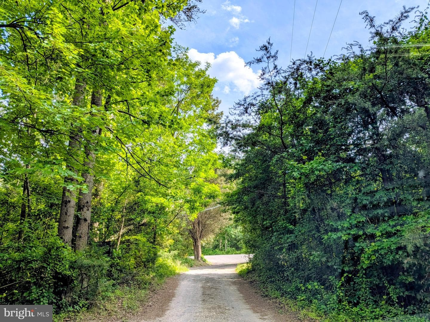 8400 New Cut Road photo 7