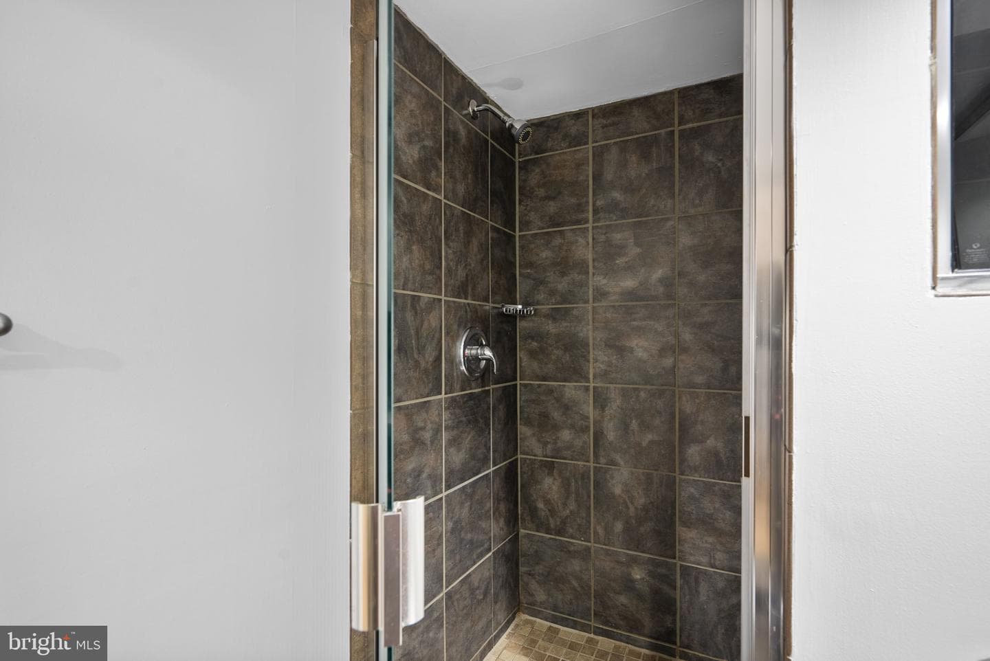 114 Spring Place Way photo 61
