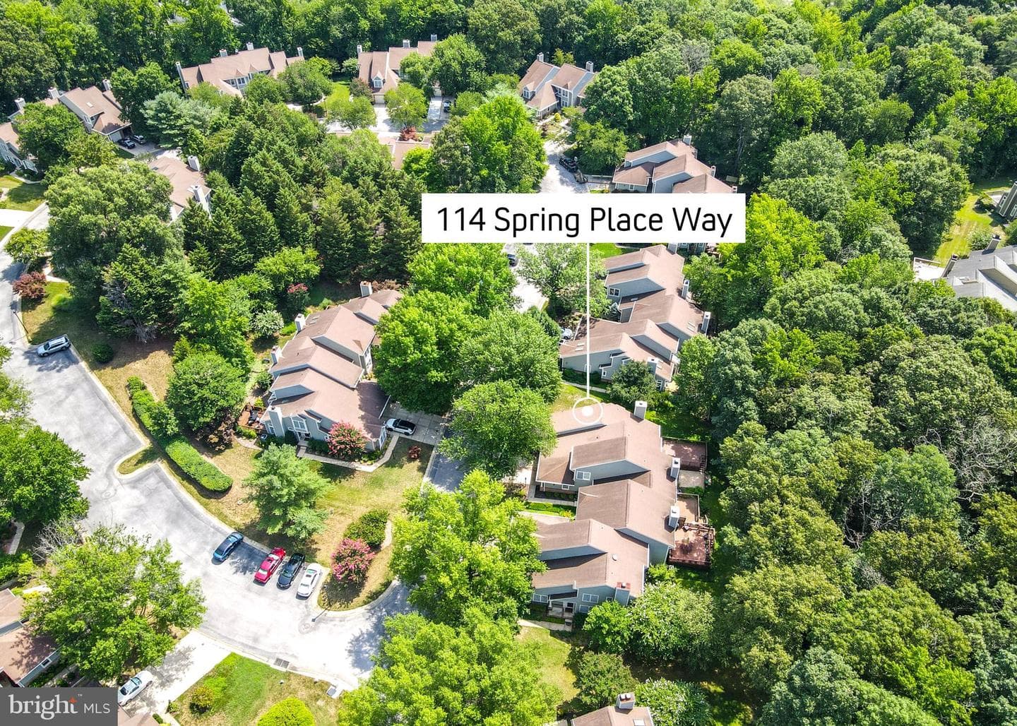 114 Spring Place Way photo 82
