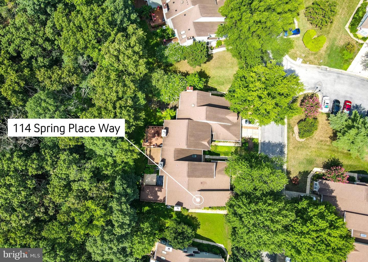 114 Spring Place Way photo 83