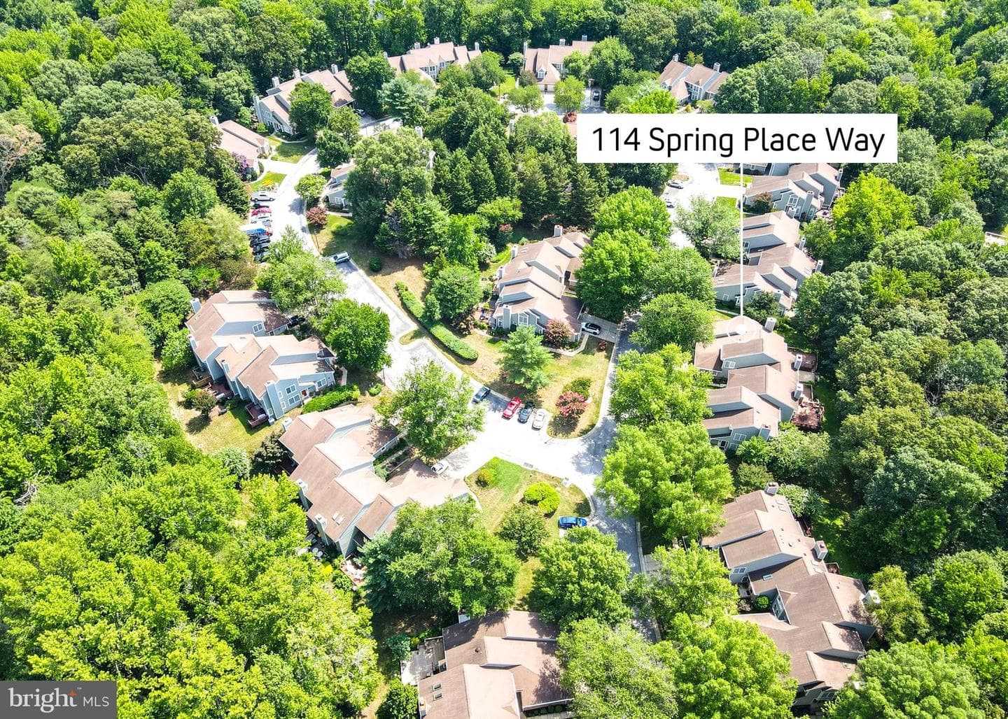 114 Spring Place Way photo 85