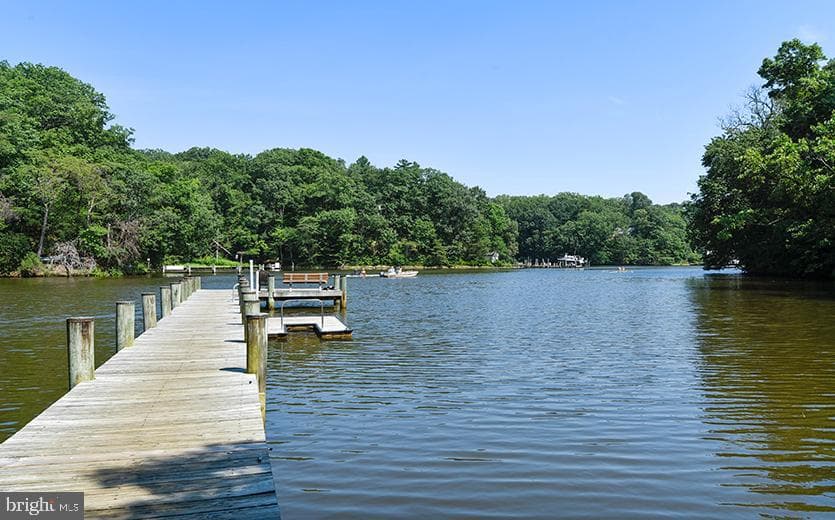 114 Spring Place Way photo 96