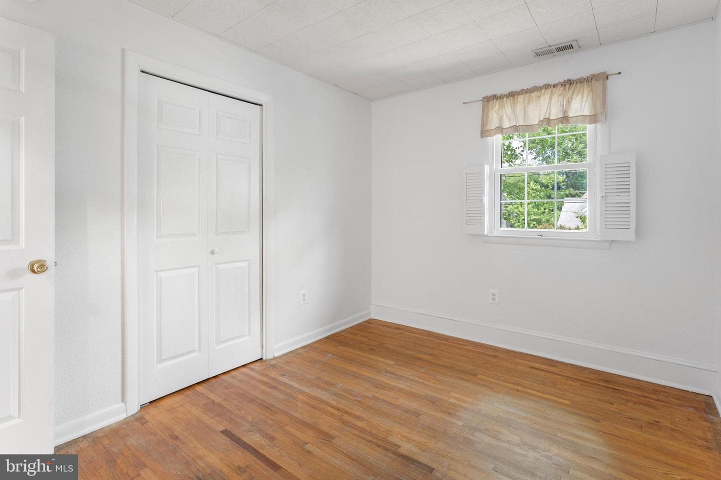 1099 Linden Tree Drive photo 19