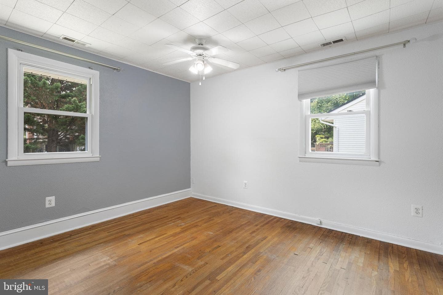 1099 Linden Tree Drive photo 25