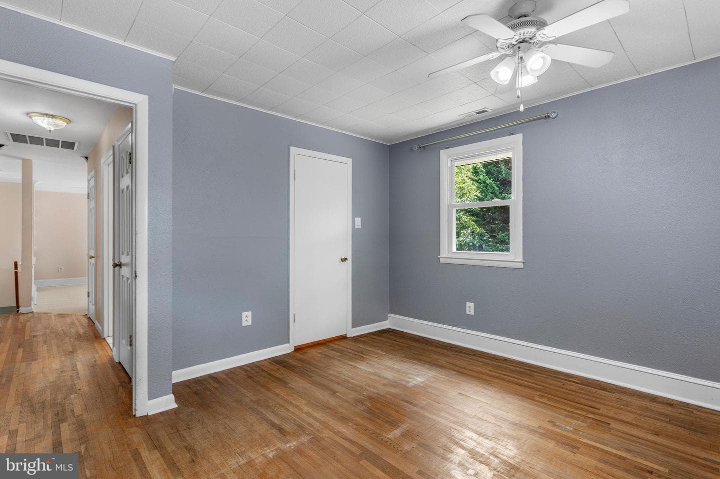 1099 Linden Tree Drive photo 26