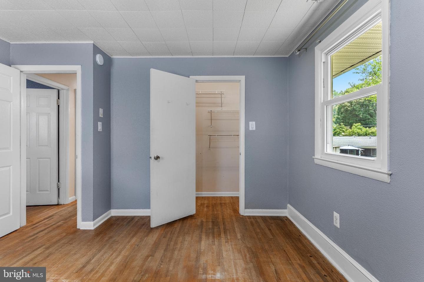 1099 Linden Tree Drive photo 27