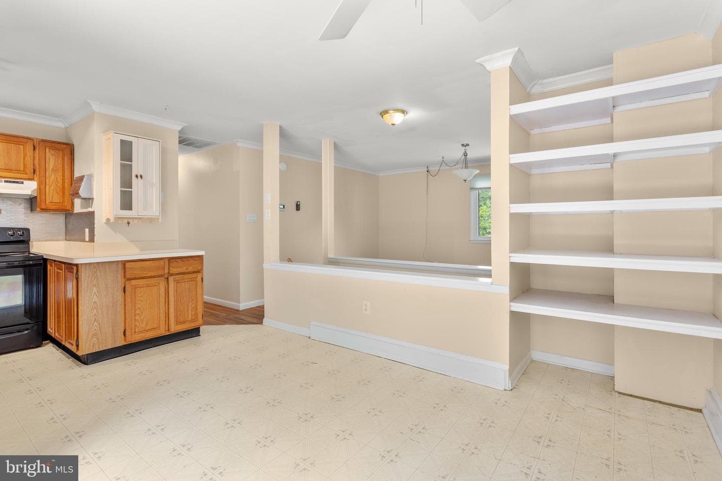 1099 Linden Tree Drive photo 8