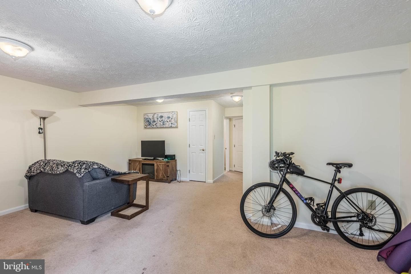 307 Sloping Woods Court photo 23