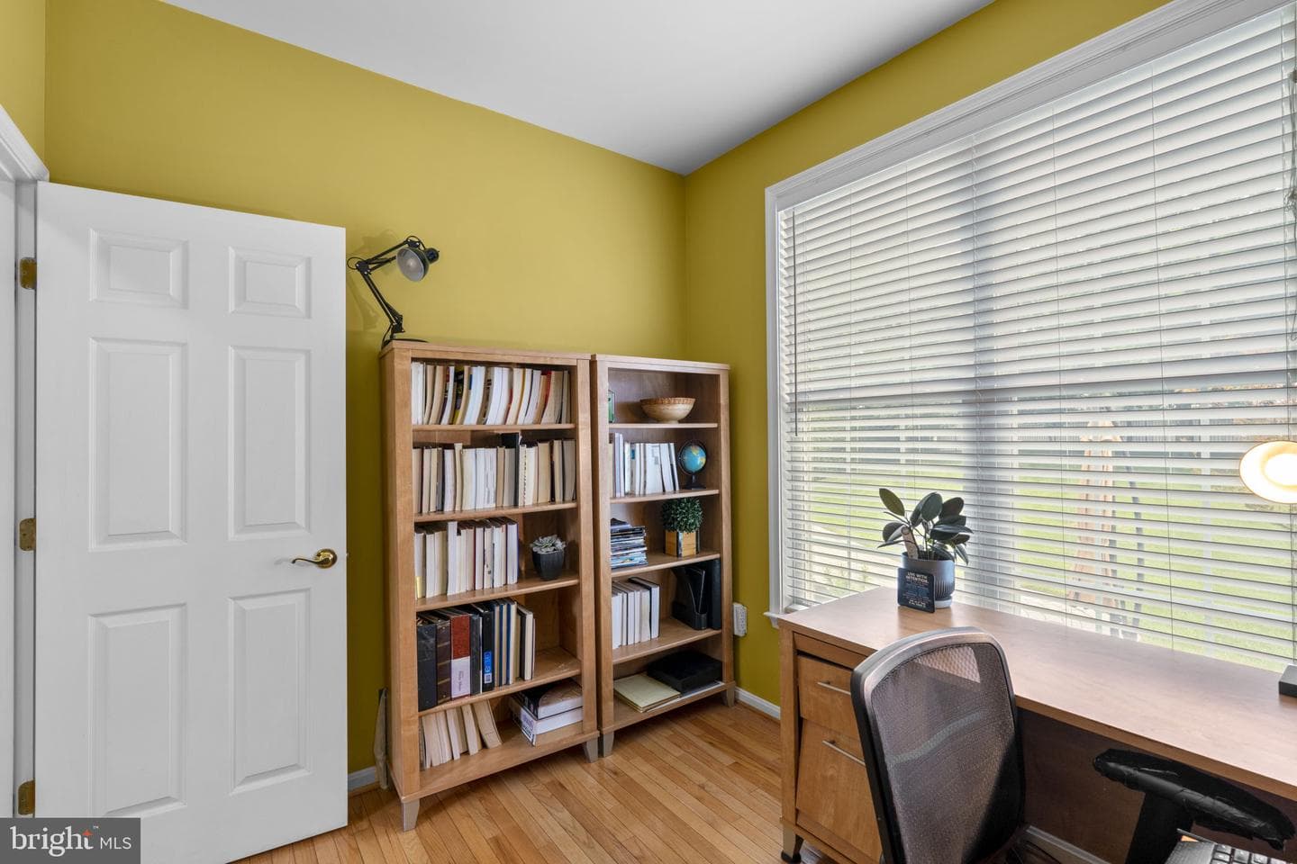 439 University Drive photo 17