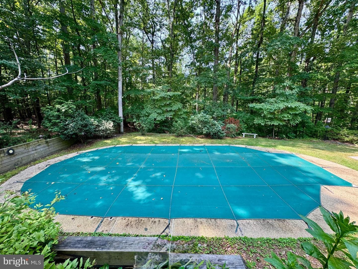 2164 Branchwood Court photo 2
