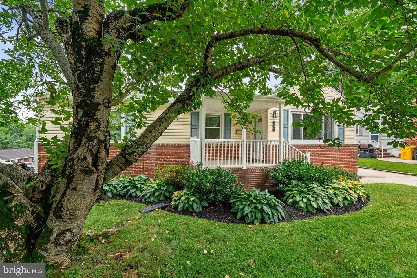 406 Catherine Avenue photo 4