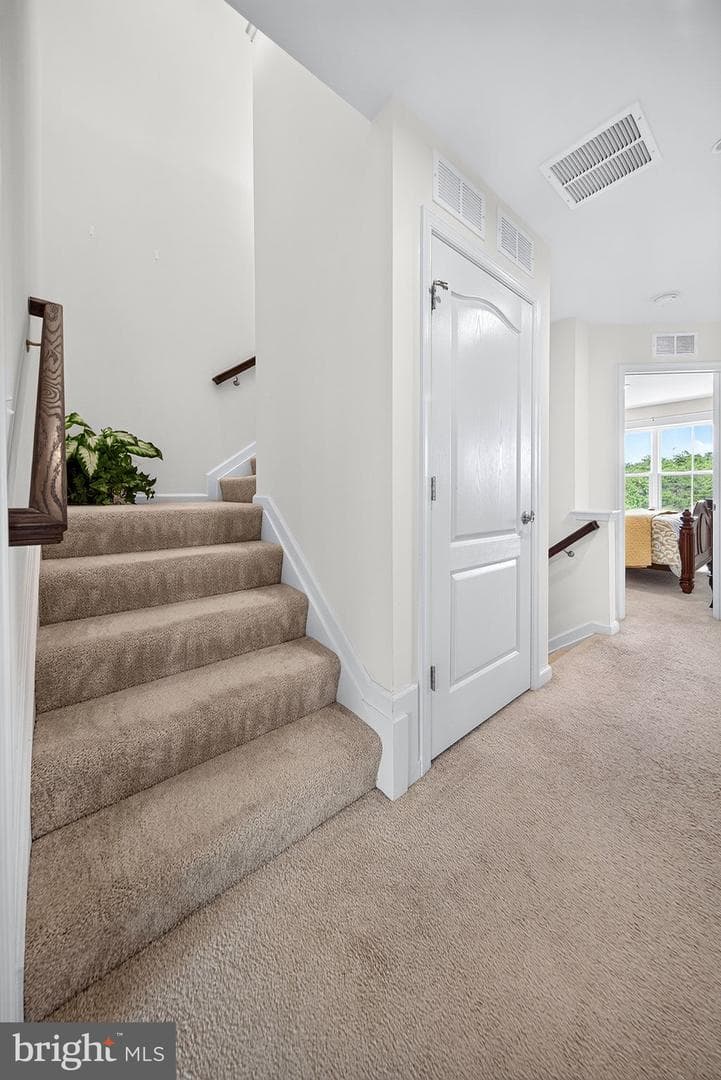 1350 Hawk Hollow Drive photo 39