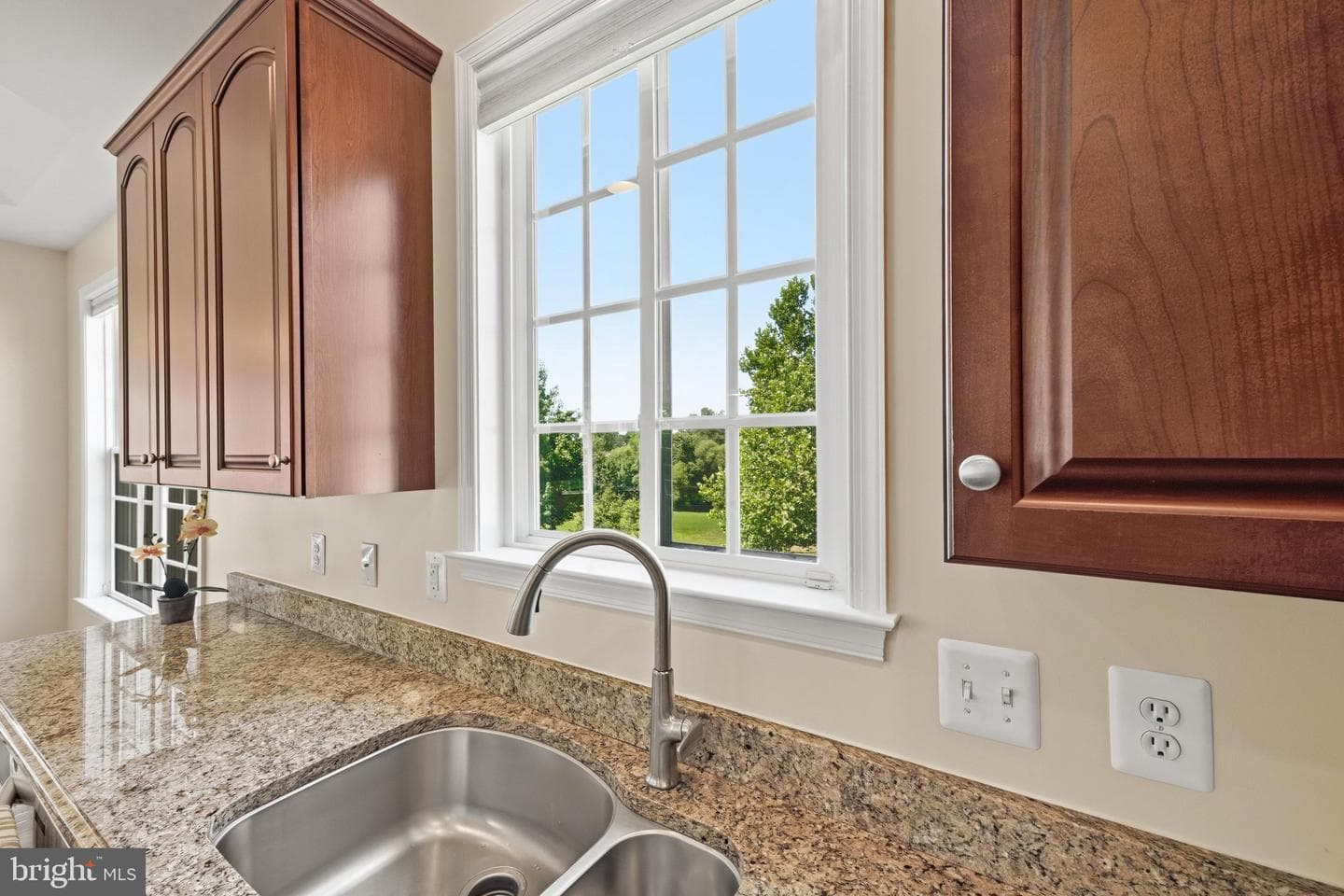 13 Tremont Drive photo 14