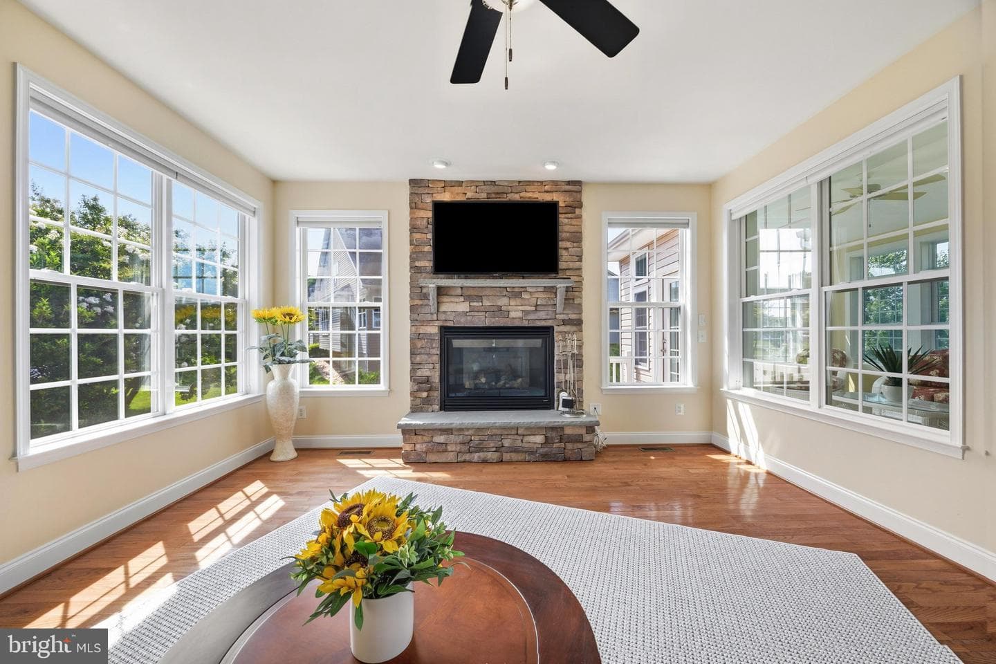 13 Tremont Drive photo 16