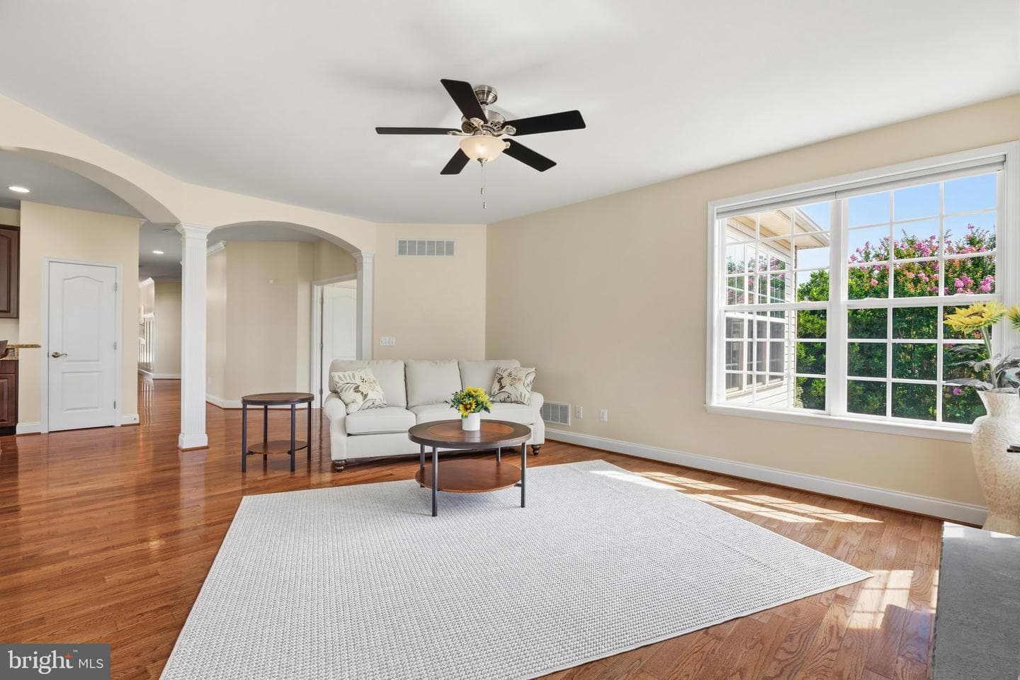 13 Tremont Drive photo 17