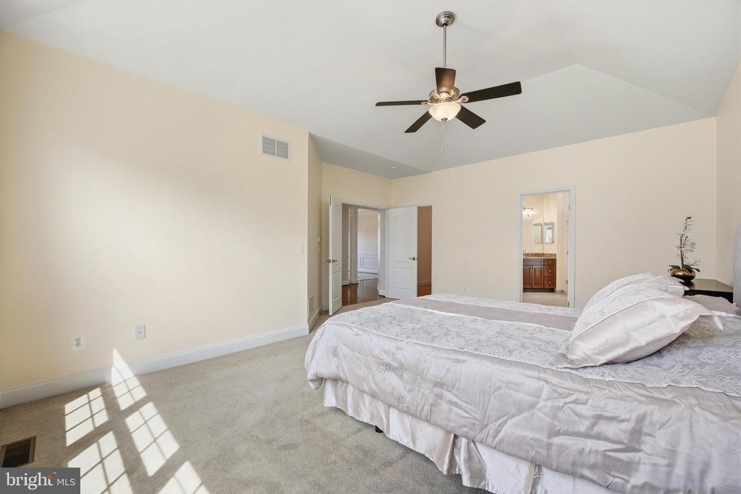 13 Tremont Drive photo 28
